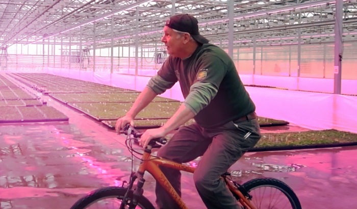 Lucas Greenhouses