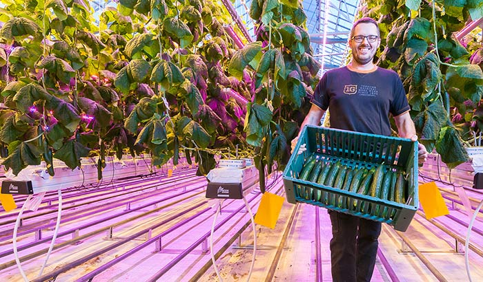 How does light affect plants and people differently?
