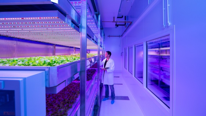 Vertical farming