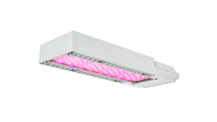 Philips GreenPower LED toplighting compact, LED grow lights for perennials and annuals
