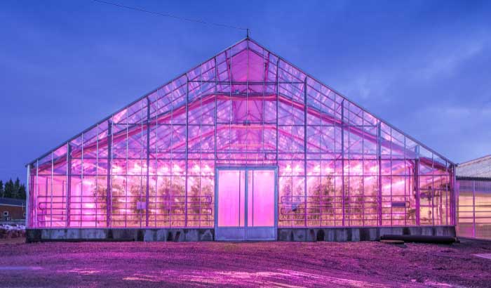 Greenhouse LED lighting