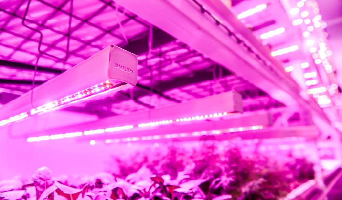 Vertical farming LED lights
