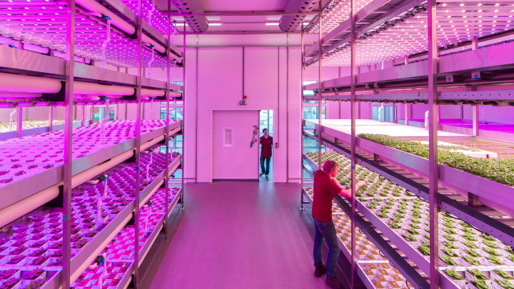 Small-scale climate chamber with vertical farming lighting