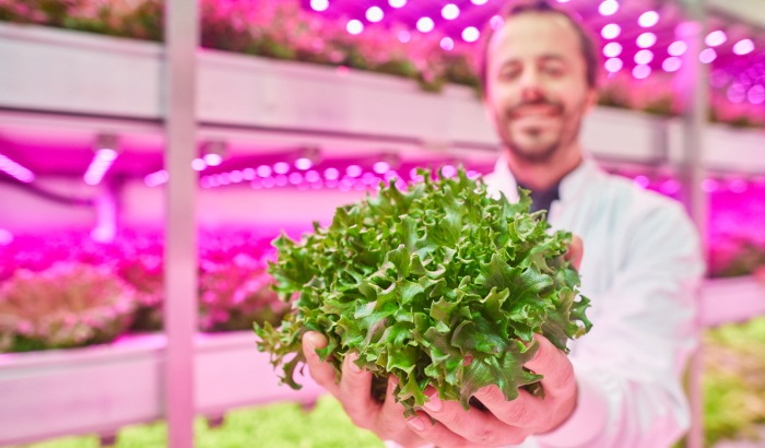 LED solutions for vertical farming