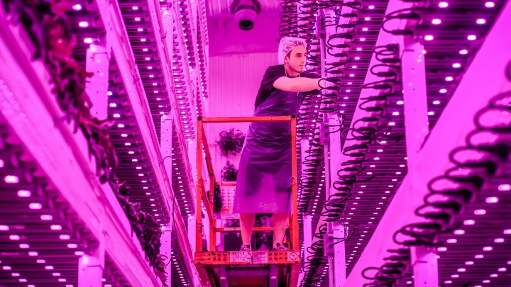 Warehouse farm with vertical farming lighting