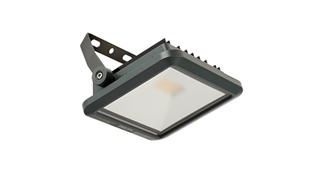Ledinaire floodlight