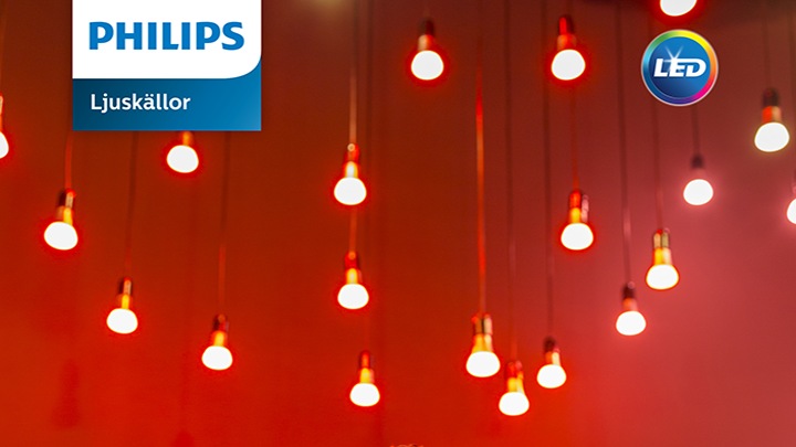 philips catalog