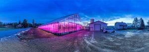 Philips LED-belysning för växtodling