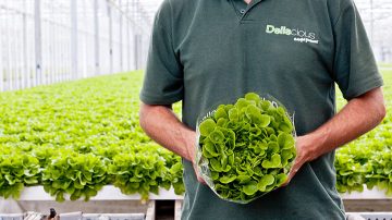 Roy and Mark Delissen, the owners of Deliscious, a lettuce growth company which uses Philips horticulture lighting
