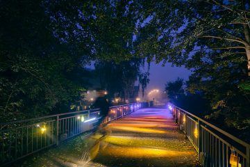 teambanner brookberries