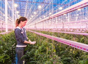 Creating an optimized Growing environment